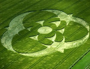 cropcircle05.jpg