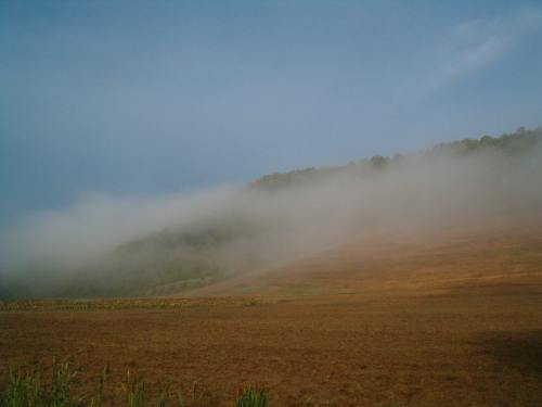 nebbia dopo  (10k image)