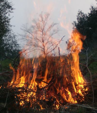 querciafuoco.jpg