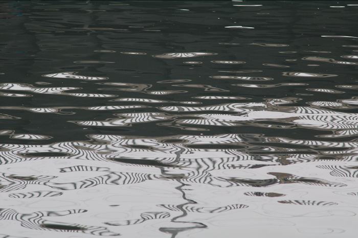 riflessi