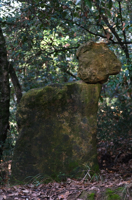 figura