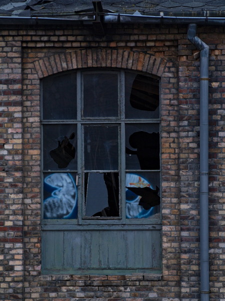 Halle Fenster Druckerei2
