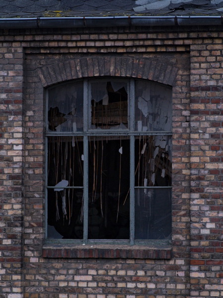 Halle Fenster Druckerei3