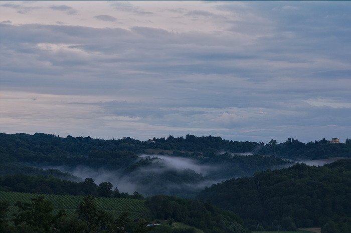 nebbia primavera