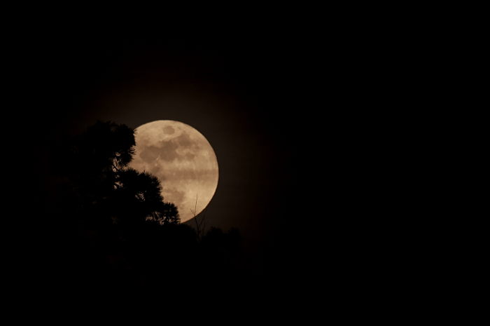 luna-piena-so11