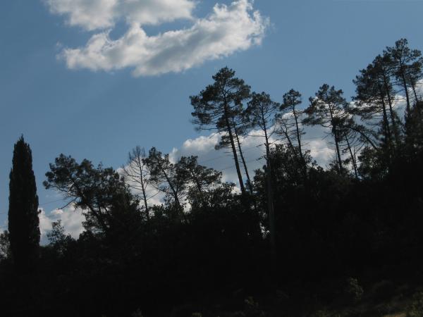 giugno-0003.JPG.jpg