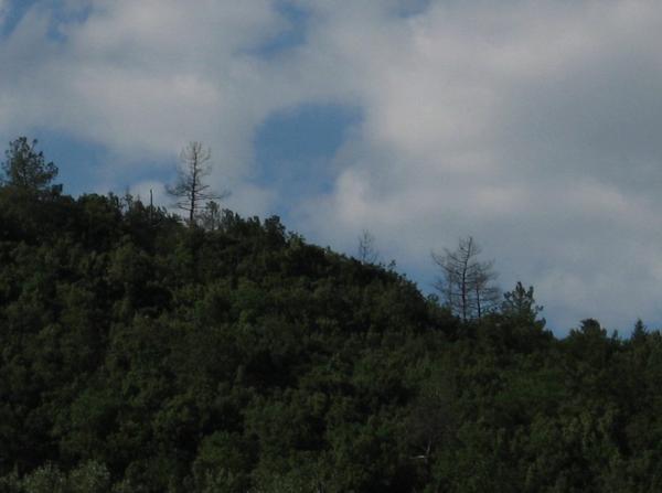 giugno-0005.JPG.jpg