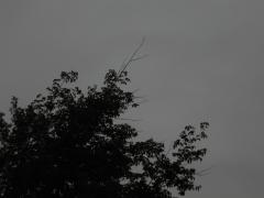 thumbs/IMG_0297.JPG.jpg
