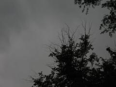 thumbs/IMG_0298.JPG.jpg