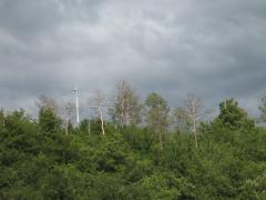 thumbs/IMG_0323.JPG.jpg