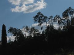 thumbs/giugno-0003.JPG.jpg