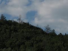 thumbs/giugno-0005.JPG.jpg
