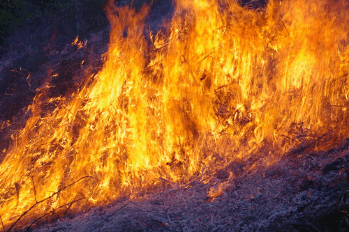 Risultati immagini per bruciare bosco gif