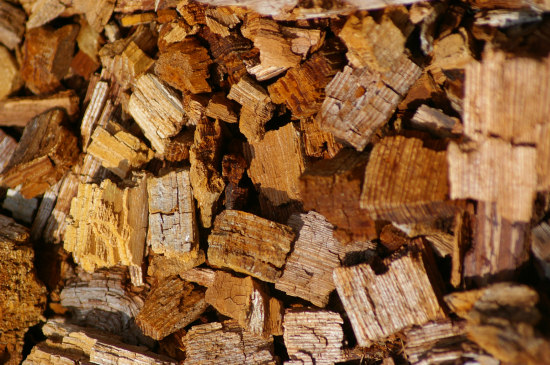 albero marcio legno cubi