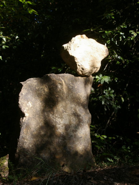 scultura bosco